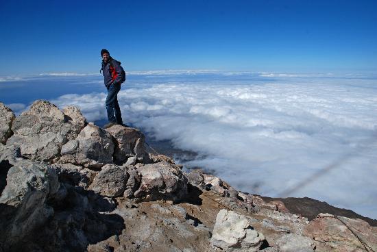 Seletøj Investere Grundig Mount Teide Private Tour in Tenerife - VIP private tour