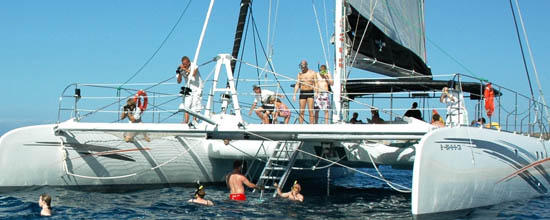 F13 Catamaran Boat Trips In Tenerife