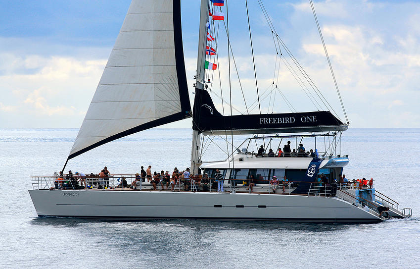 Freebird One Catamaran Boat Trips In Tenerife